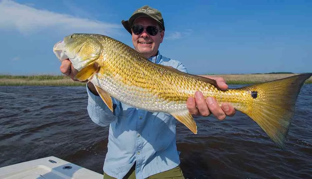 george-redfish4