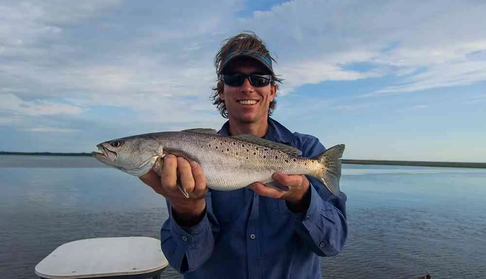 reimer-trout
