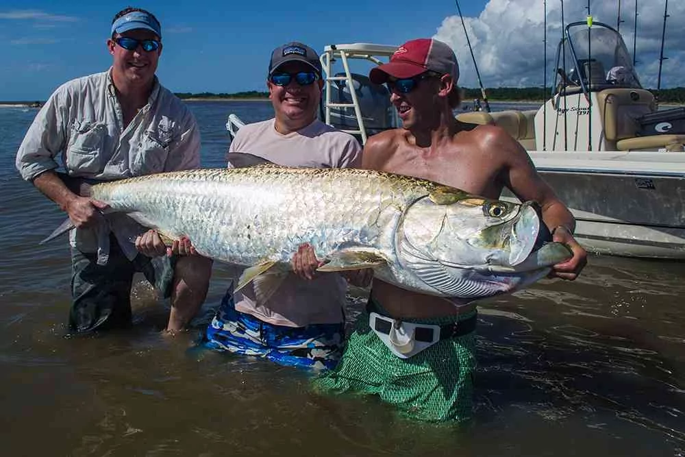 georgetown-tarpon-charlie4