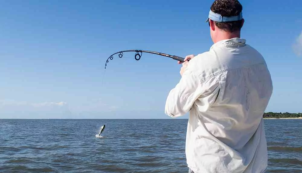 georgetown-tarpon-rusty-jump