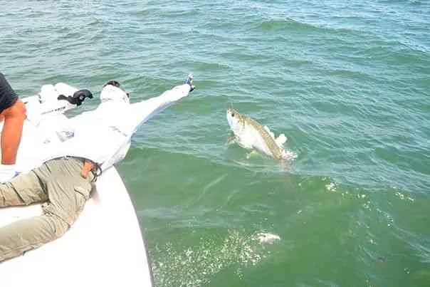 2014 Lowcountry Tarpon Tournament Results lowcountrytarpon1