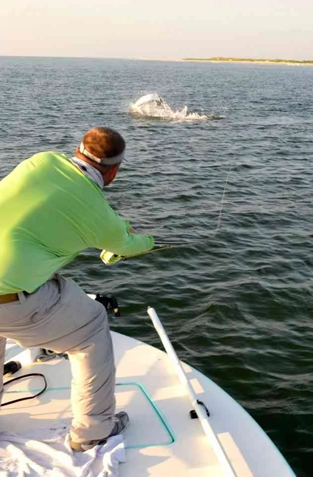 2014 Lowcountry Tarpon Tournament Results lowcountrytarpon2