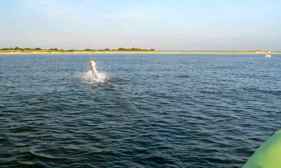 2014 Lowcountry Tarpon Tournament Results lowcountrytarpon3