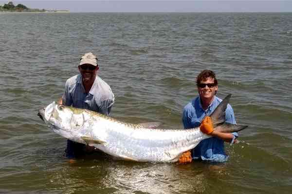 lowcountrytarpon8