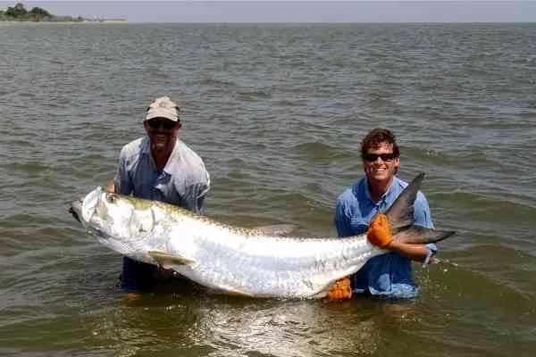 2014 Lowcountry Tarpon Tournament Results lowcountrytarpon8