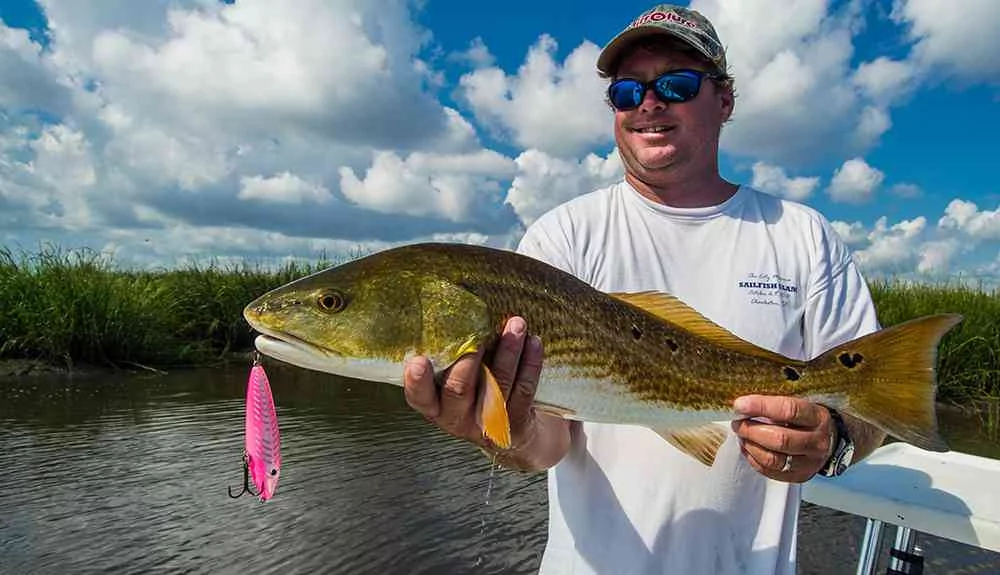 stevie-redfish
