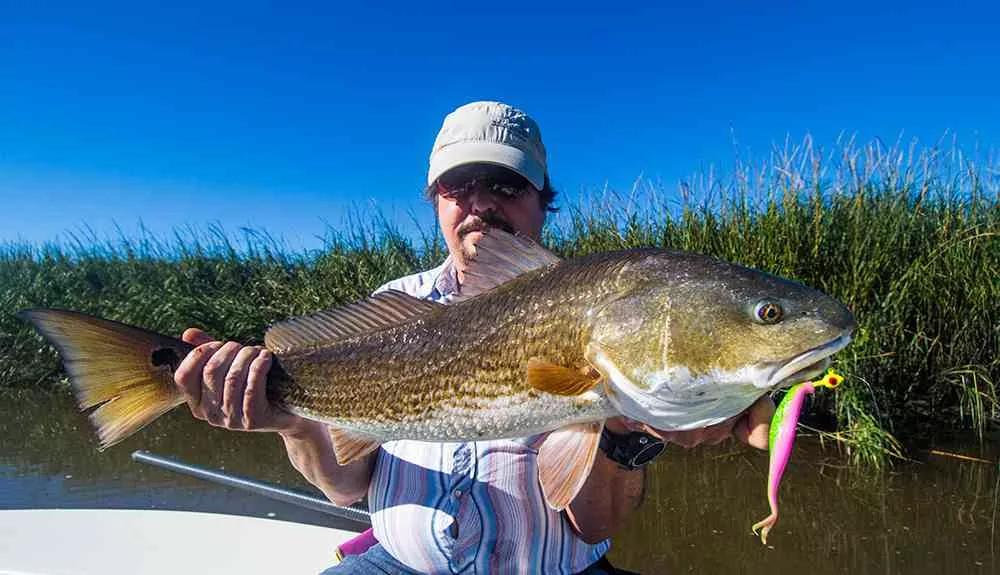 Redfish-Georgetown-Mike2