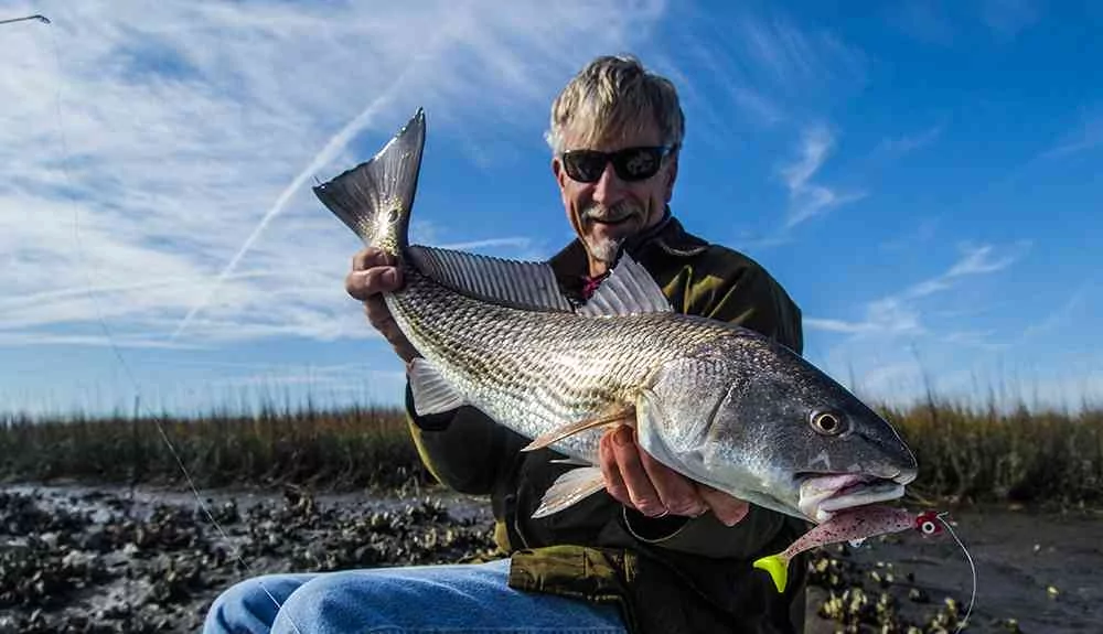 tpate-redfish1
