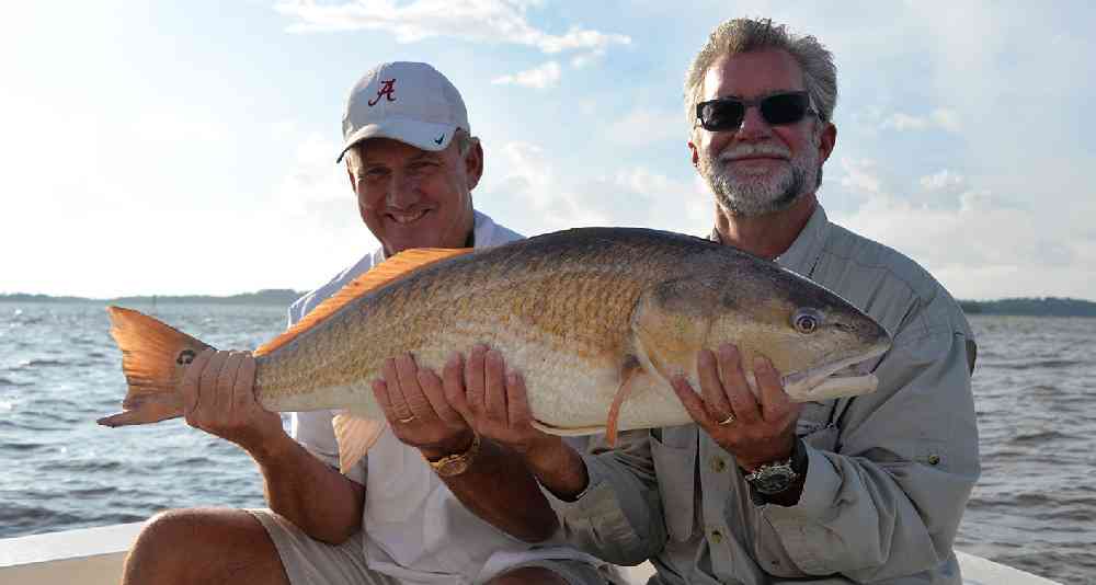 a picture of South Carolina Inshore/Nearshore Fishing Calendar 2026 with Carolina Guide Service