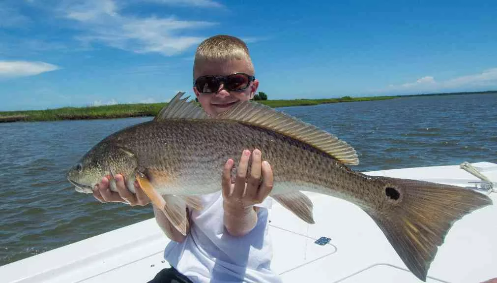 boyer-redfish-gerogetown-2