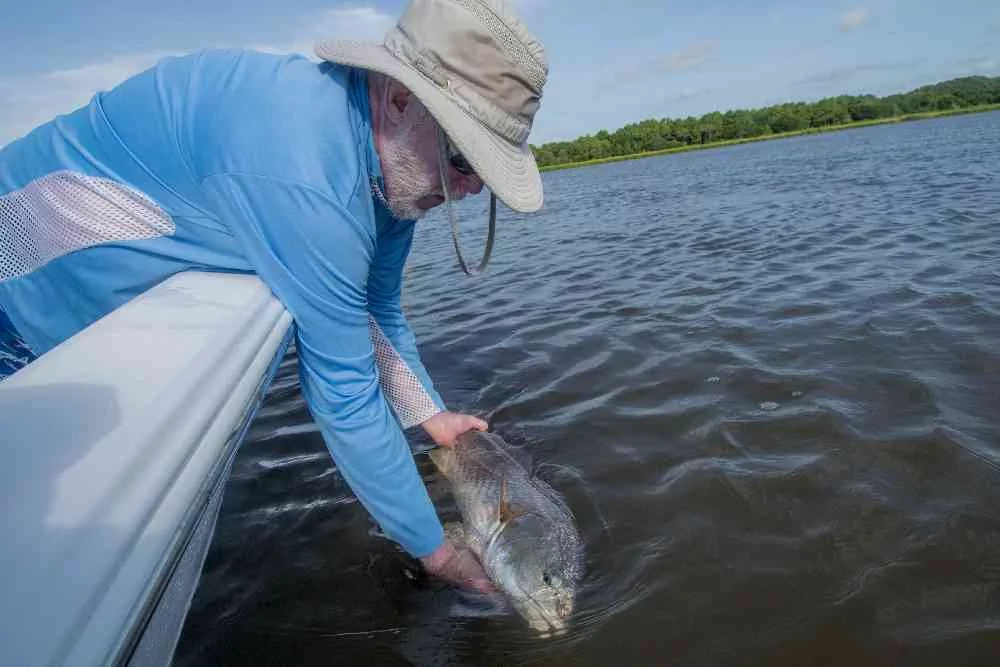 tommy-redfish-georgetown-2