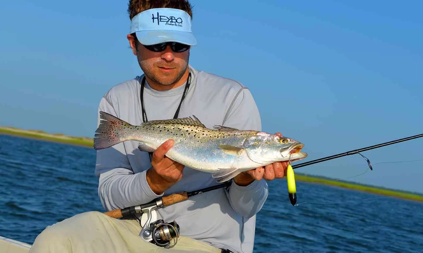 Heybo Fish ID pate