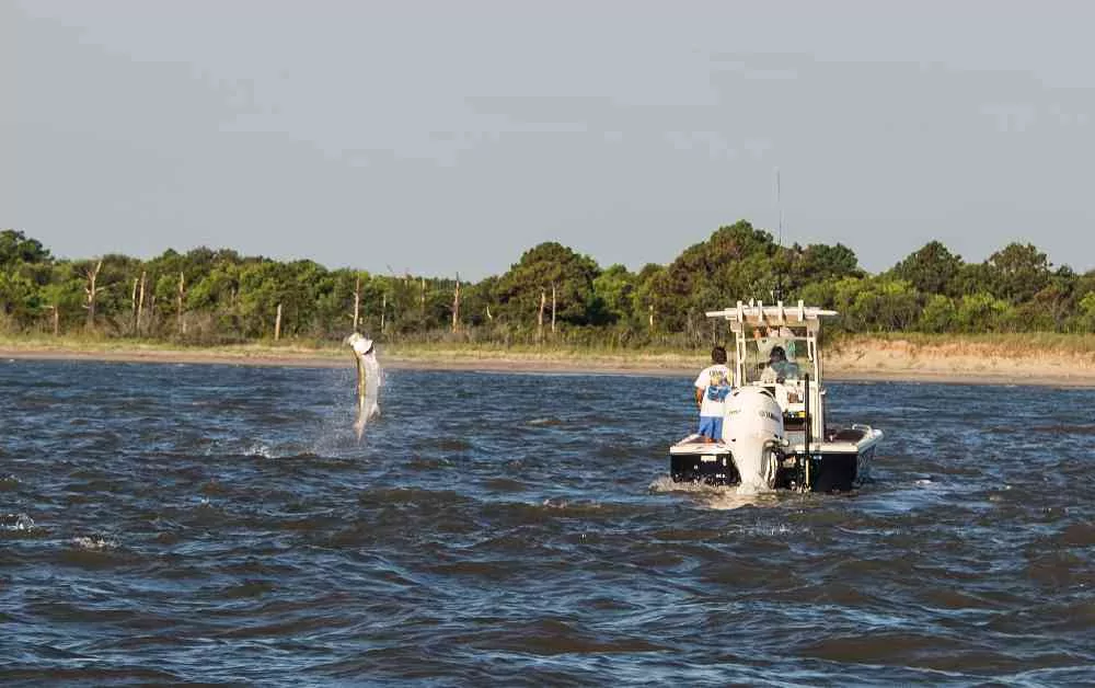 Tarpon Fishing in Full Swing! Lowcountry-Tarpon-Tournament-Scout-01