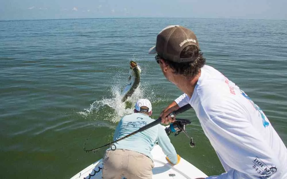 Tarpon Fishing in Full Swing! georgetown-tarpon-fishing-charters-2015
