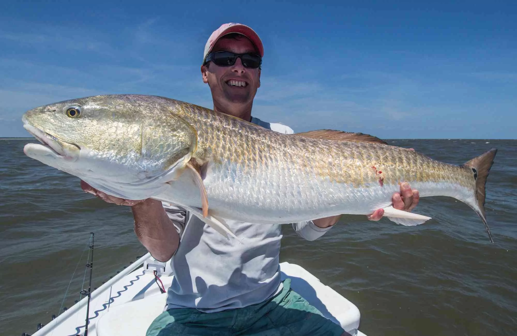 a picture of Edisto Island Fishing: The Complete Guide (2025) with Carolina Guide Service