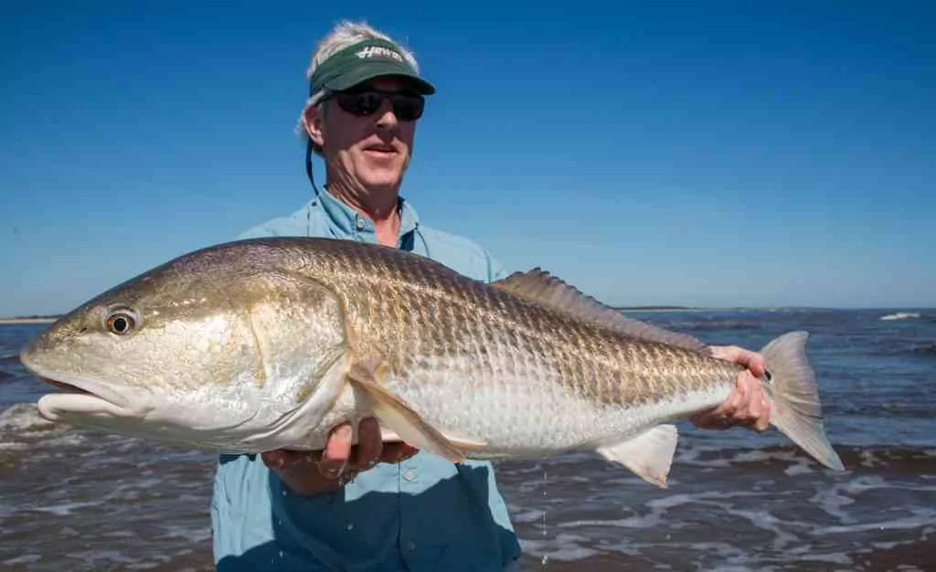 Surf-Fishing-02