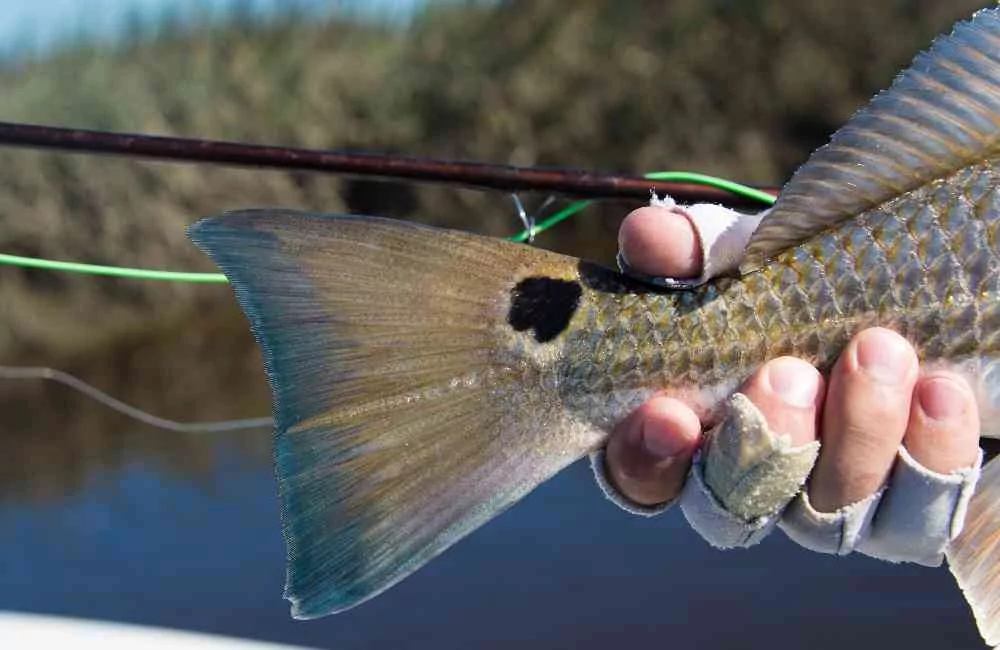 Gary-Slade-Flyfishing-05