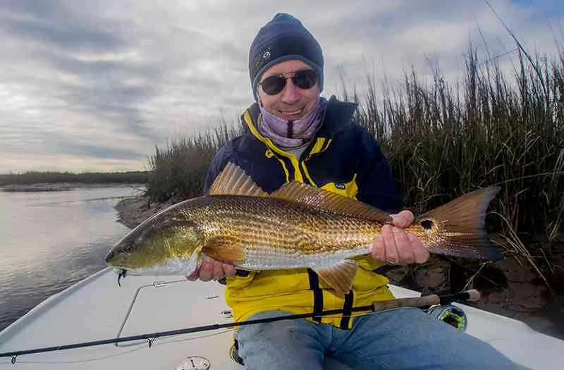 Don-Redfish-on-Fly-800x525-1