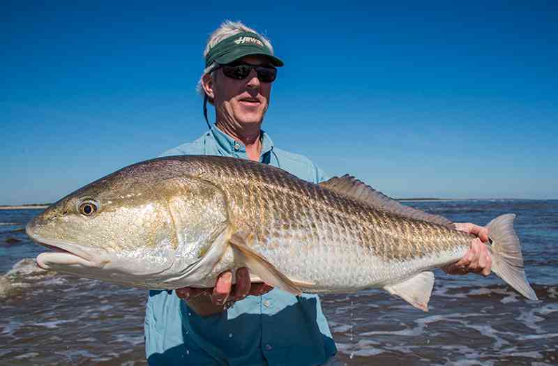 myrtle beach surf fishing
