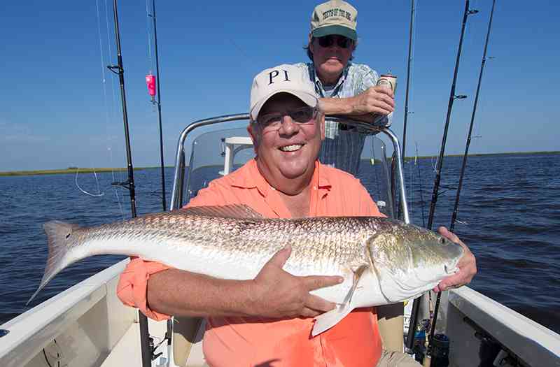 Muddy-Bay-Redfish-800x525