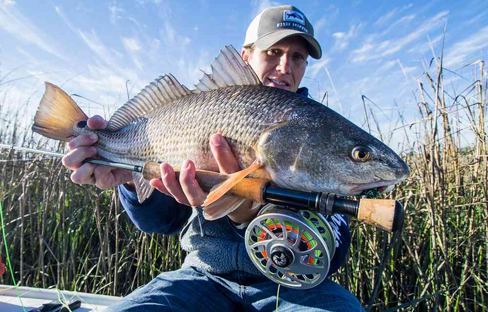 a picture of Inshore Fly Fishing Out Of Georgetown with Carolina Guide Service