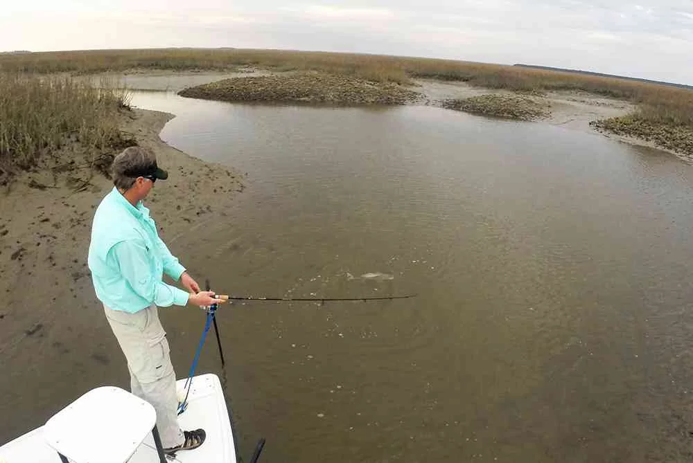 February Fishing Report - Myrtle Beach myrtle beach fishing charters