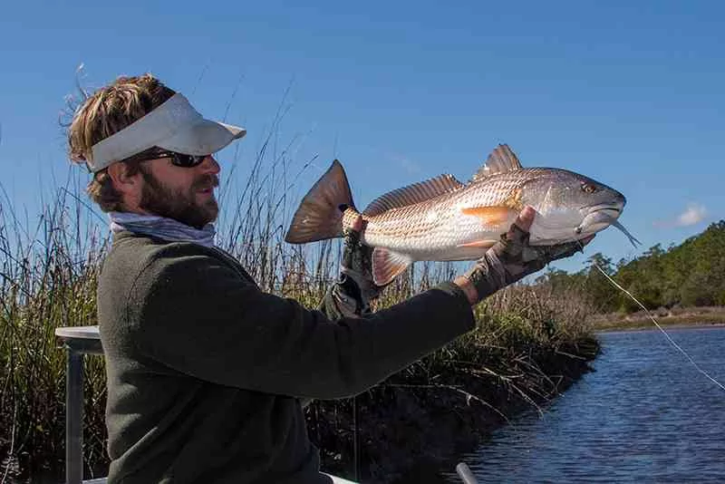 February Fishing Report - Myrtle Beach Myrtle Beach Fishing Charters