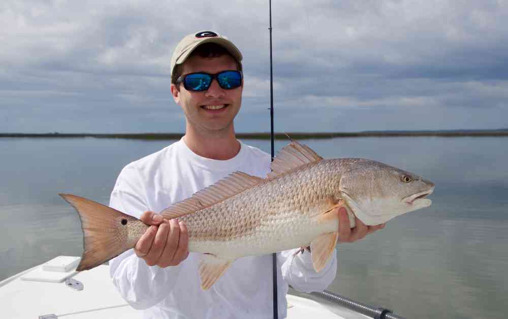 Kirk-Redfish-Georgetown-02