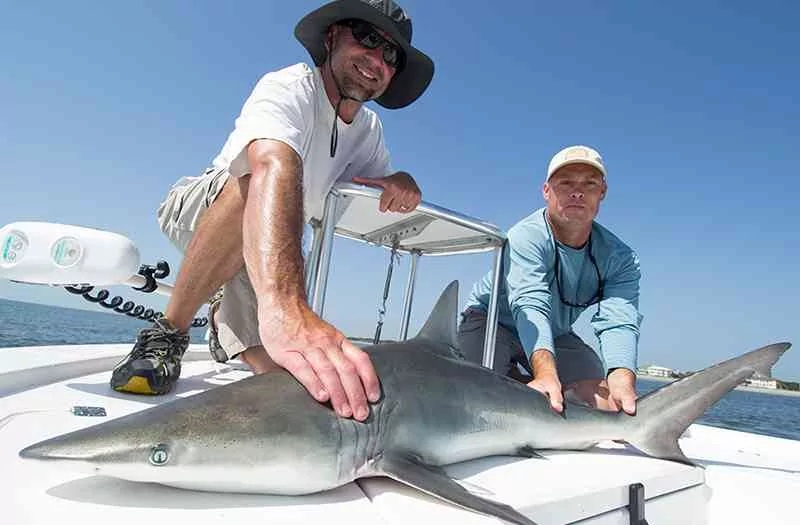 myrtle beach shark fishing