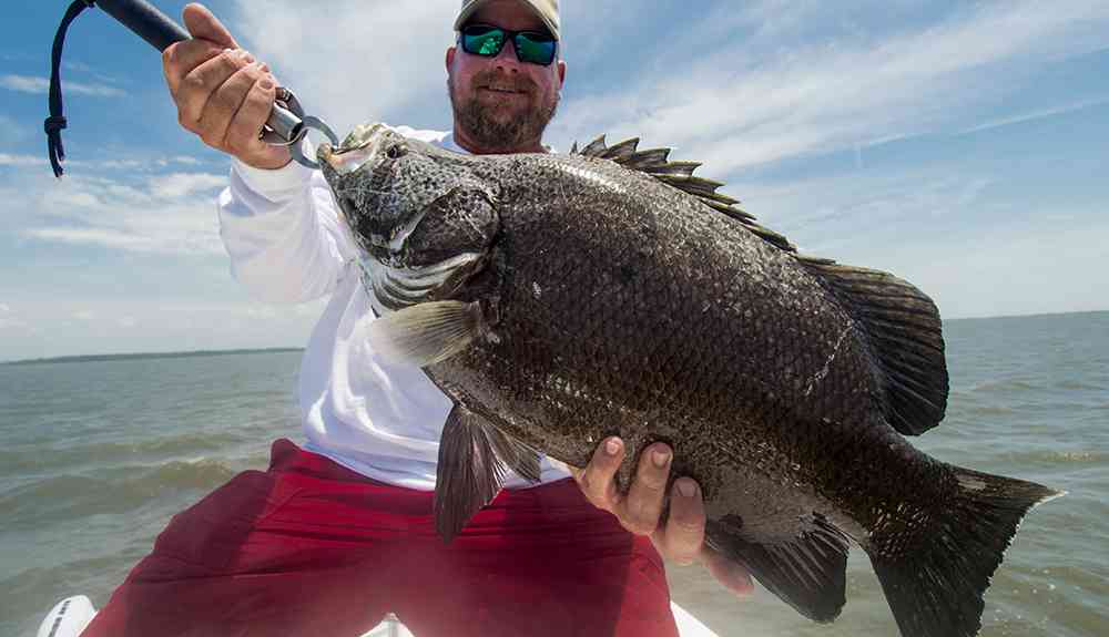 Mid-Summer Fishing Report - Carolina Guide Service