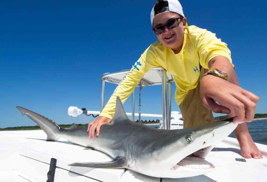 a picture of Shark Fishing The Carolina Coast with Carolina Guide Service