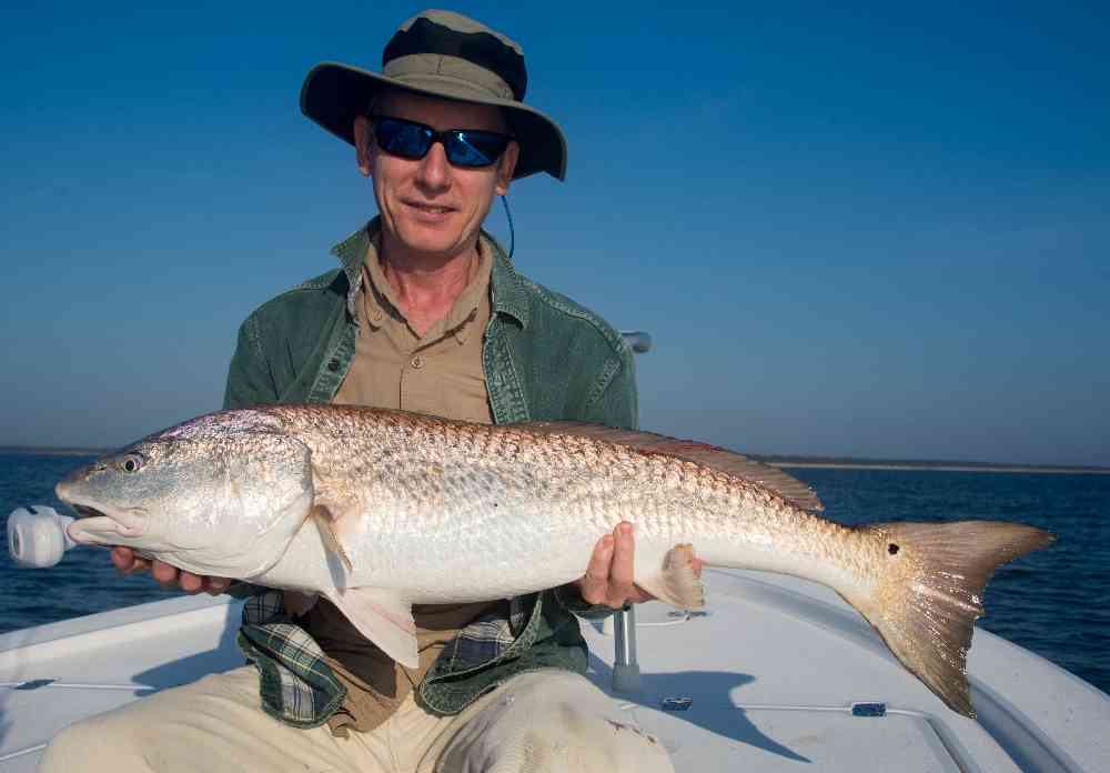 bull-redfish-winyah-bay-091