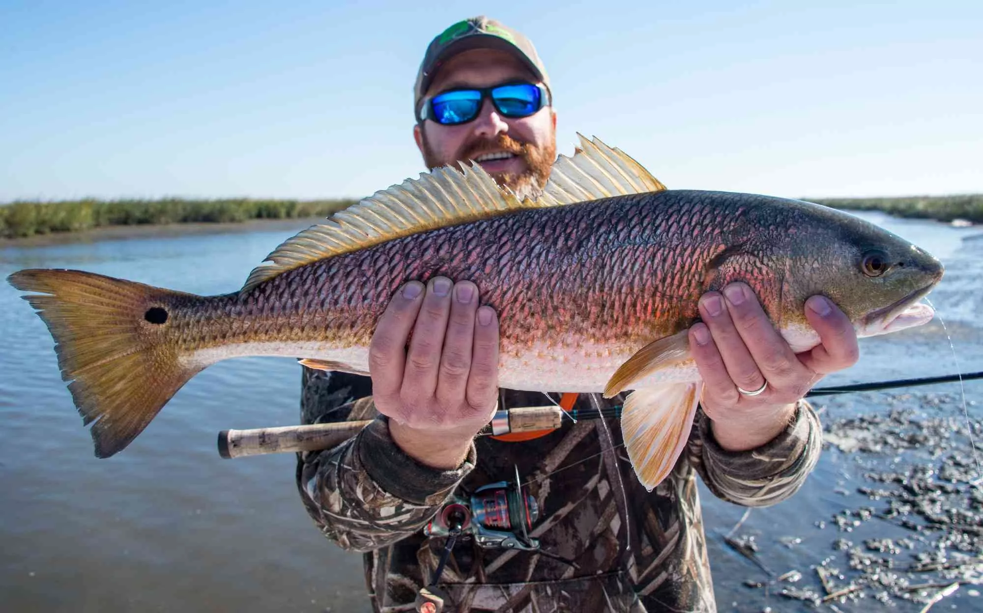 a picture of Myrtle Beach & Grand Strand SC Fishing Report: November with Carolina Guide Service