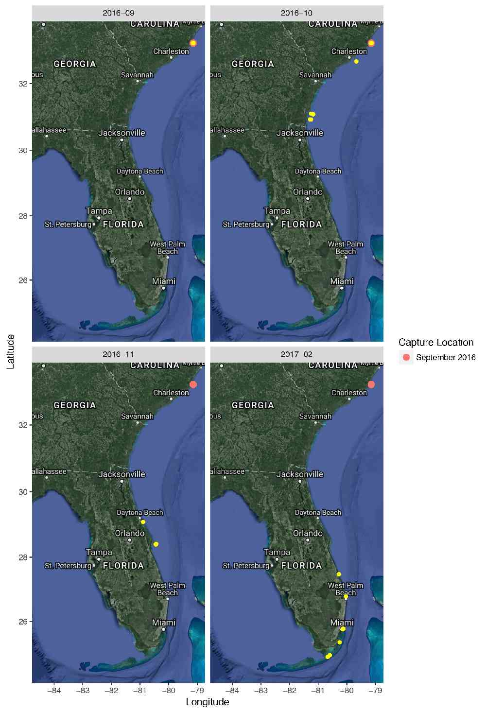 Tarpon Tagging South Carolina