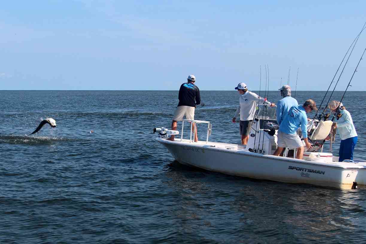 Tarpon Tagging in South Carolina