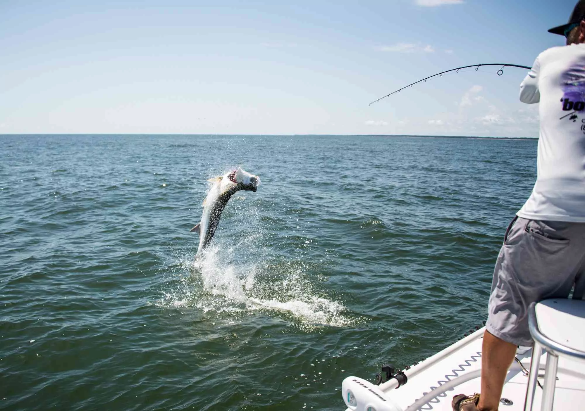 a picture of What Fish are Biting Near Myrtle Beach in July & August? with Carolina Guide Service