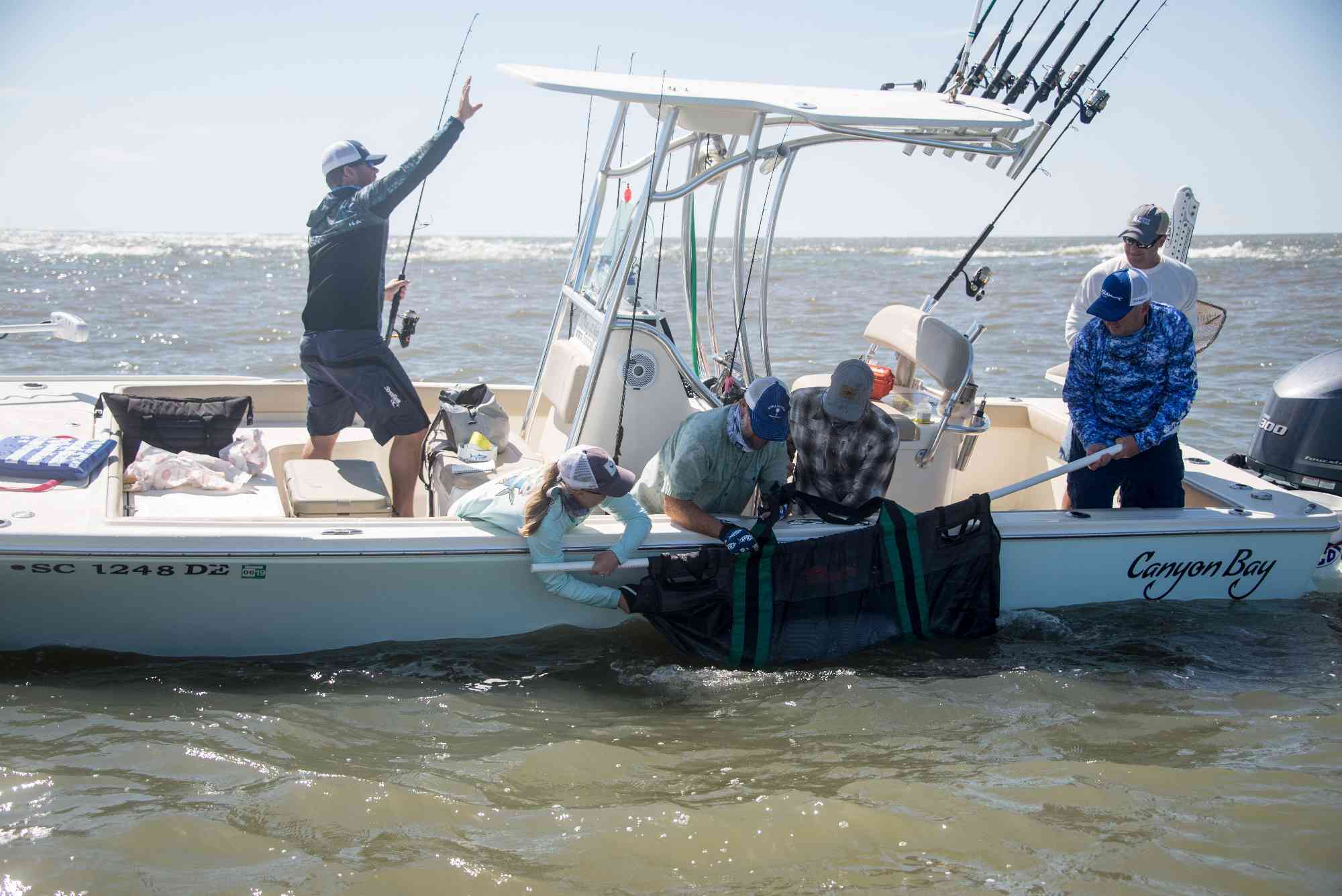 tarpon tagging south carolina