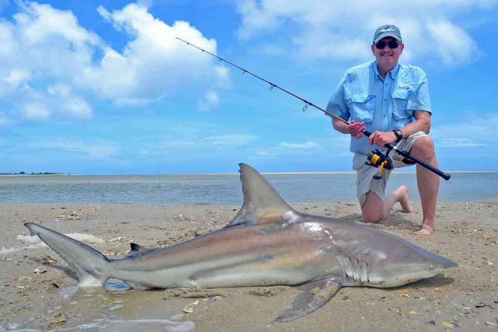 shark fishing south carolina