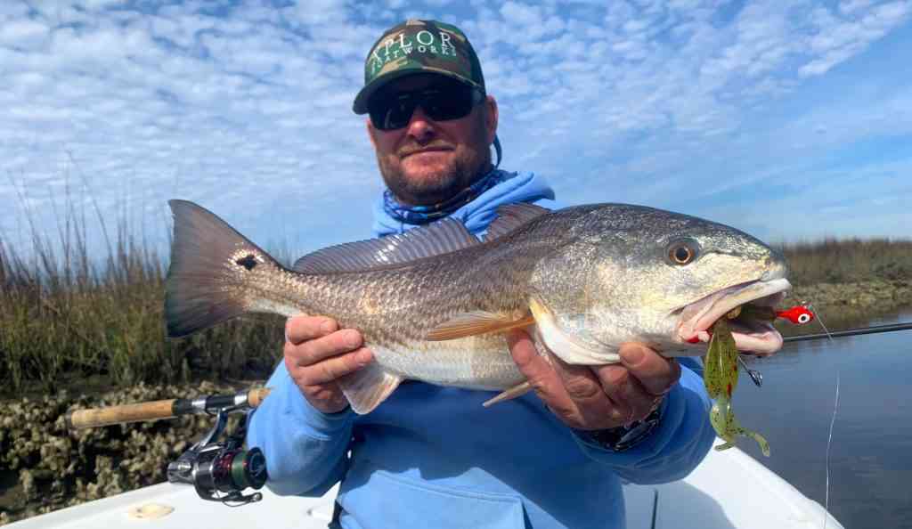 best redfish lures DOA