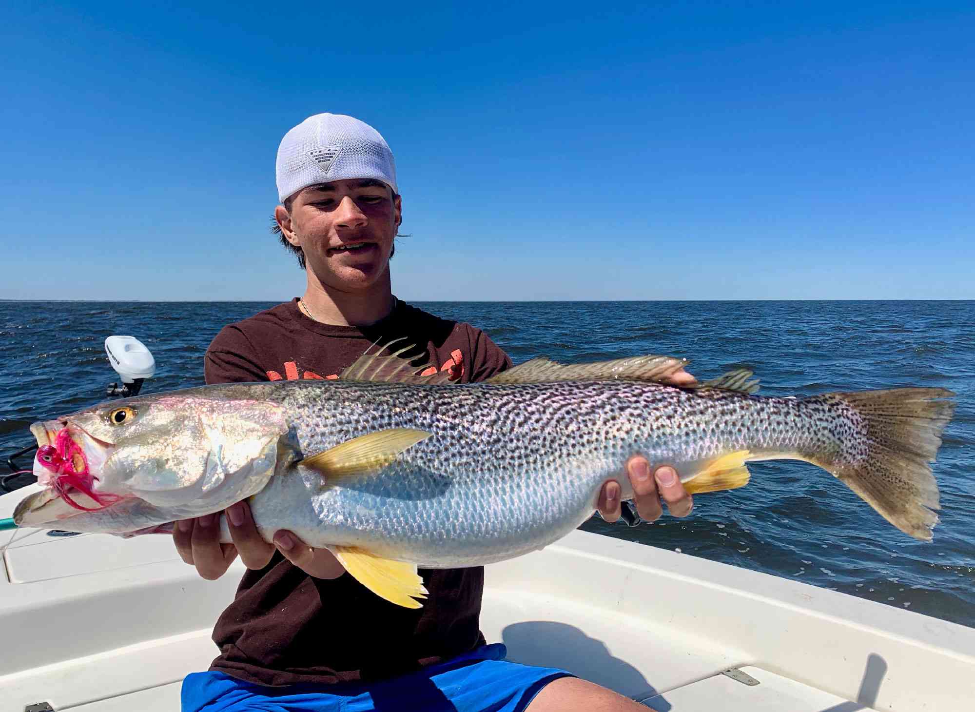 a picture of Spring 2020 Fishing Report - Open for Business with Carolina Guide Service