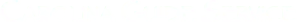 Footer Logo