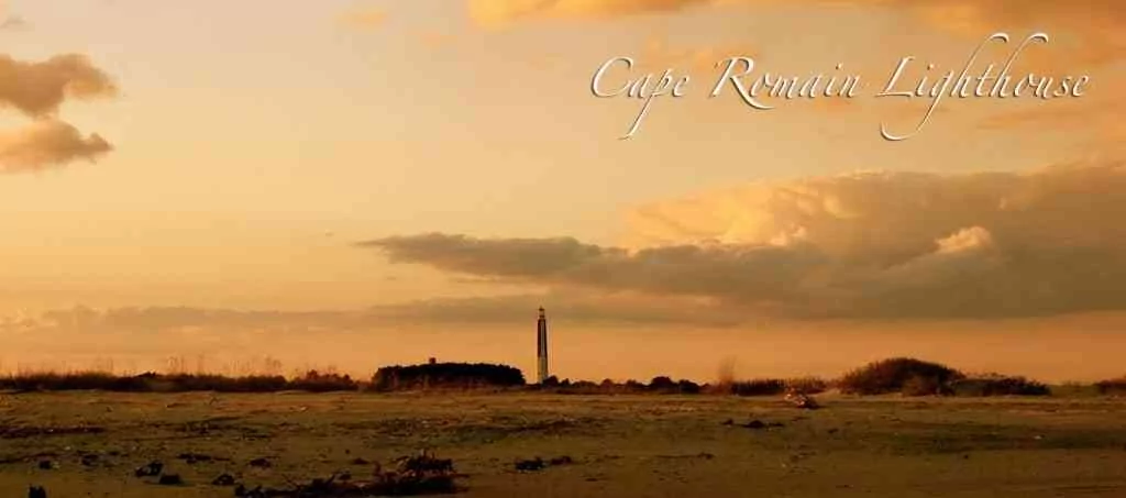 a picture of Cape Romain – Bulls Bay with Carolina Guide Service
