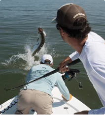 Fishing Charters a picture of Fishing Charters with Carolina Guide Service
