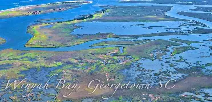 a picture of Georgetown – Winyah Bay with Carolina Guide Service