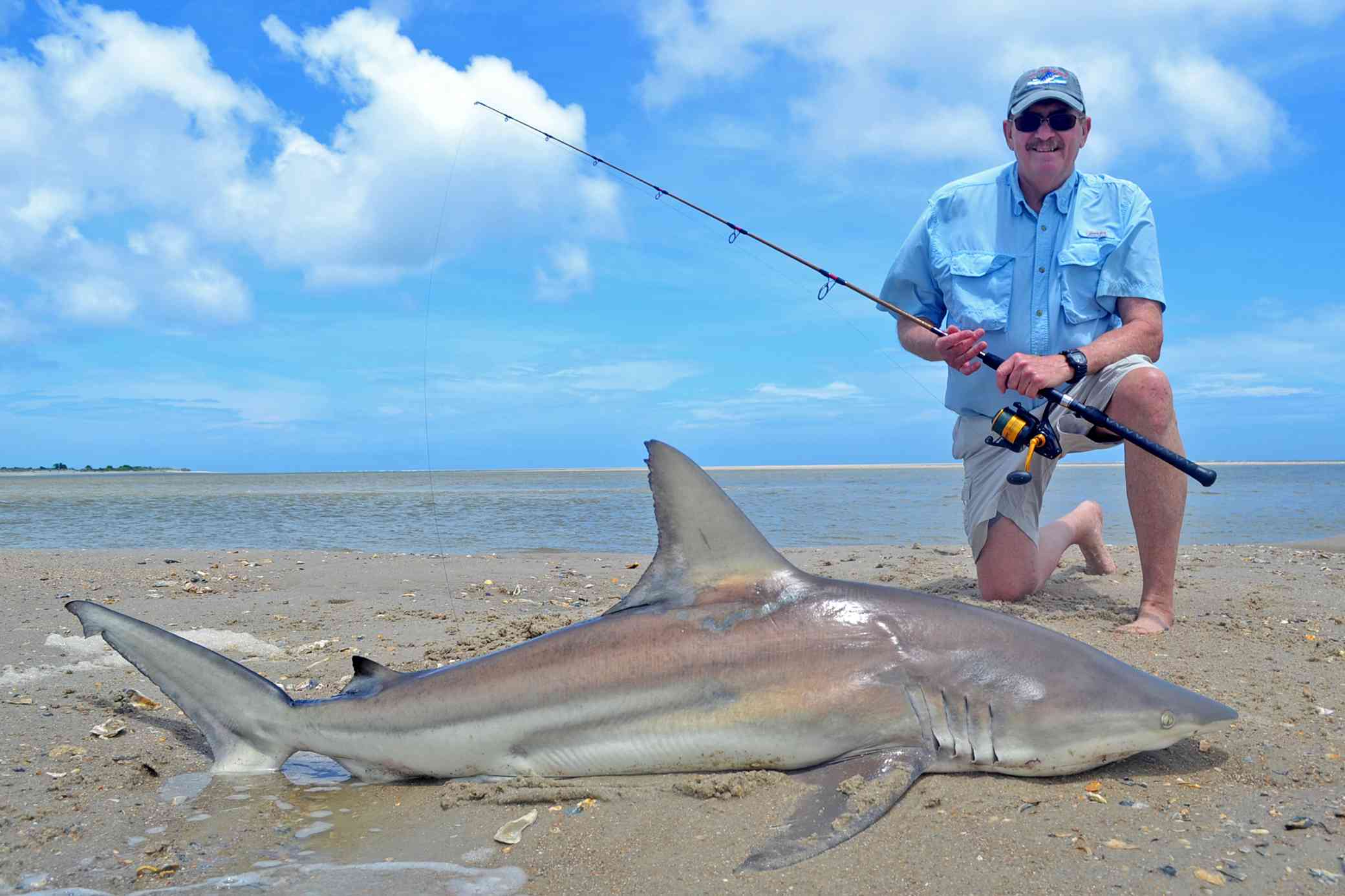 Surf Fishing For Blacktip Sharks off of the Beach 