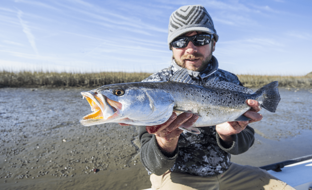 a picture of South Carolina Winter Fishing Charters with Carolina Guide Service