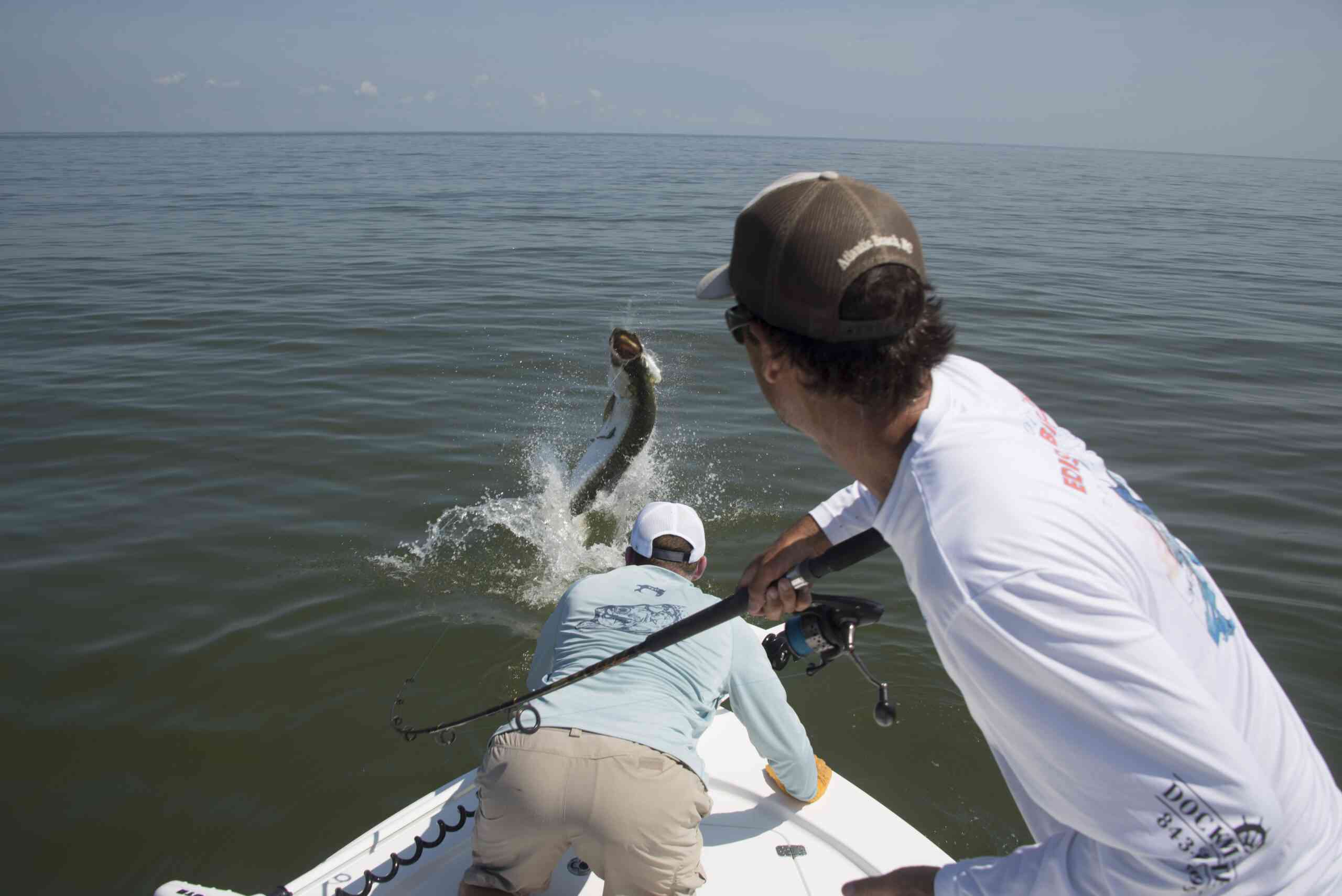 SCDNR - Marine - Species - King Mackerel