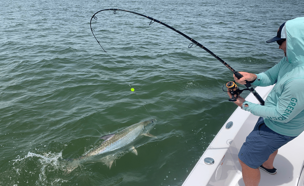 a picture of Winyah Bay Tarpon Season Underway with Carolina Guide Service