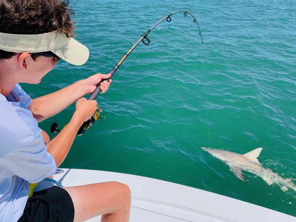 a picture of A Guide to Fishing the South Carolina Coast with Carolina Guide Service