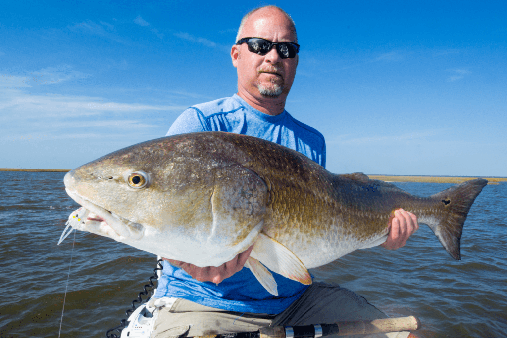 a picture of The Best Time to Go Inshore Fishing for Redfish with Carolina Guide Service